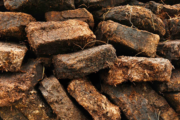 Cask Curriculum: Is All Peat The Same?